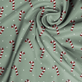 Vorbestellung - Zuckerstangen