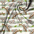 Vorbestellung - Koala