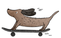 Skaterdog A6