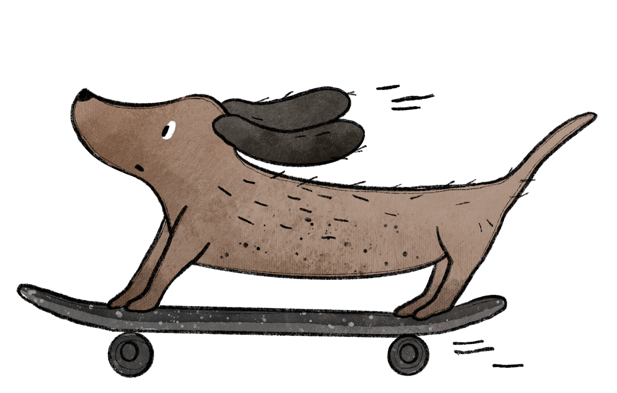 Skaterdog A6