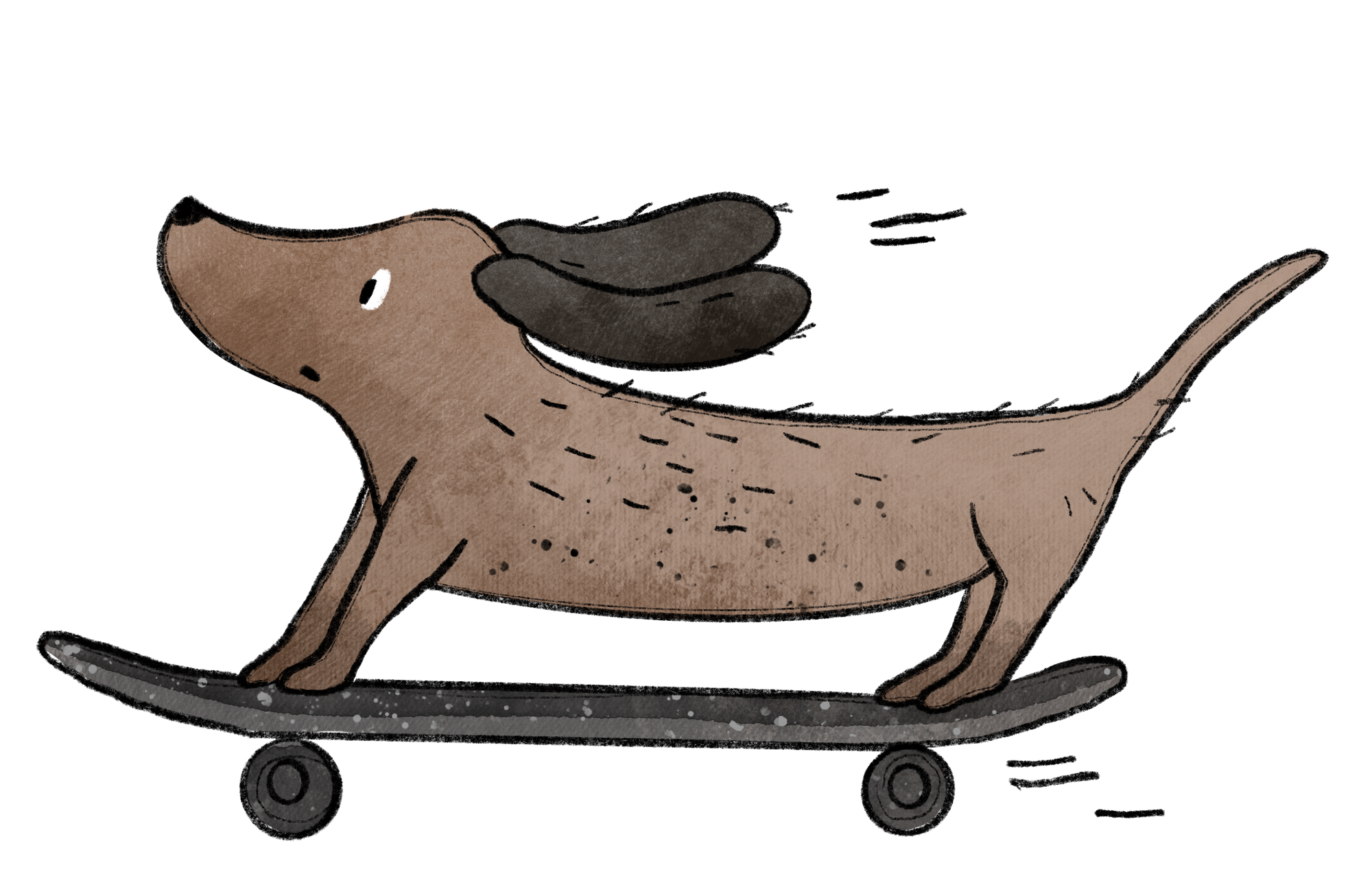 Skaterdog A6